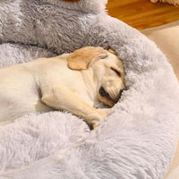 Cat Cartoon Bear Paw Design Pet Bed, Soft Plush Pet Nest for Daily Use, Spring Warm Pet Bed for Dog & Cat