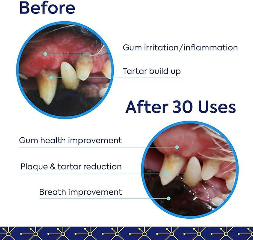 TEEF for Life - Protektin42™ - Kit: Prebiotic Dental Powder for Dogs