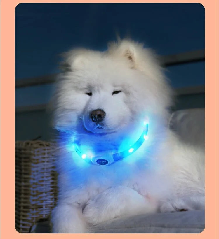 Collar luminoso LED para perro de PVC, impermeable, para perros grandes, medianos y pequeños, con luz USB, accesorios de seguridad nocturna para mascotas.