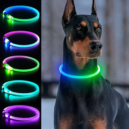 Collar luminoso LED para perro de PVC, impermeable, para perros grandes, medianos y pequeños, con luz USB, accesorios de seguridad nocturna para mascotas.