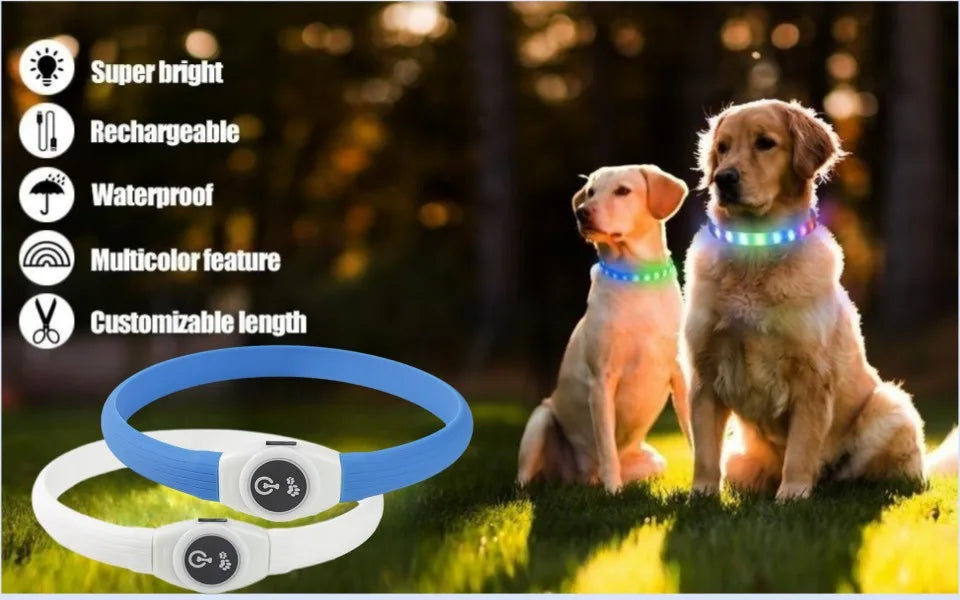 Collar luminoso LED para perro de PVC, impermeable, para perros grandes, medianos y pequeños, con luz USB, accesorios de seguridad nocturna para mascotas.