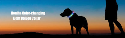 Collar luminoso LED para perro de PVC, impermeable, para perros grandes, medianos y pequeños, con luz USB, accesorios de seguridad nocturna para mascotas.