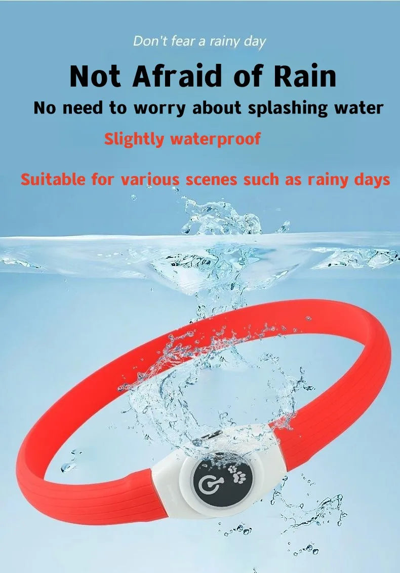 Collar luminoso LED para perro de PVC, impermeable, para perros grandes, medianos y pequeños, con luz USB, accesorios de seguridad nocturna para mascotas.