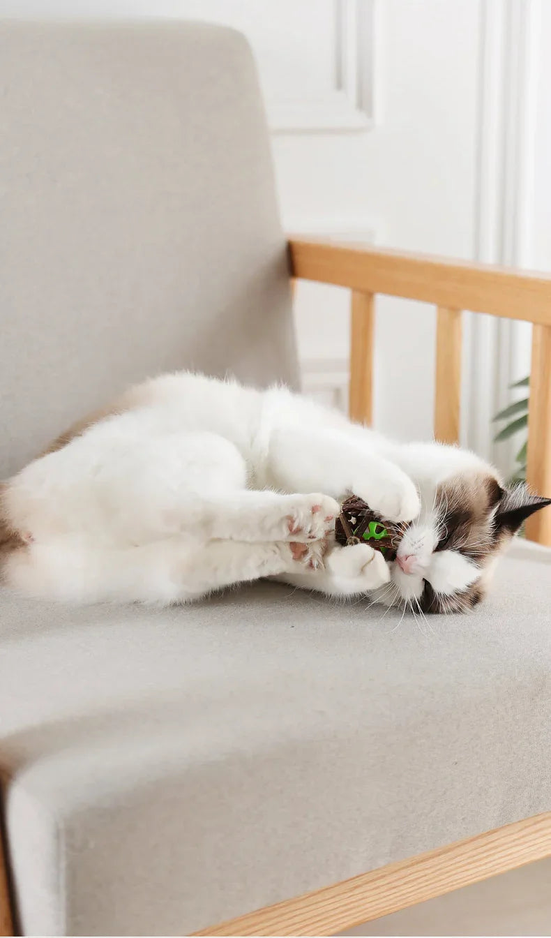 Juguete de bola de hierba gatera, juguete masticable para gatitos, dientes limpios para gatos, palo Matatabi saludable, juguete interactivo para gatos
