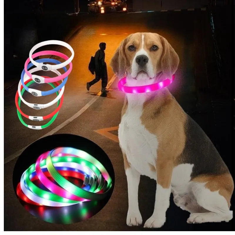 Collar luminoso LED para perro de PVC, impermeable, para perros grandes, medianos y pequeños, con luz USB, accesorios de seguridad nocturna para mascotas.