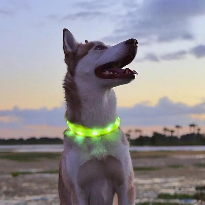 Collar luminoso LED para perro de PVC, impermeable, para perros grandes, medianos y pequeños, con luz USB, accesorios de seguridad nocturna para mascotas.