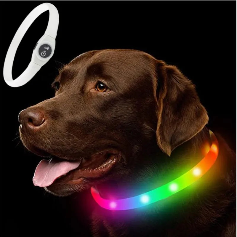 Collar luminoso LED para perro de PVC, impermeable, para perros grandes, medianos y pequeños, con luz USB, accesorios de seguridad nocturna para mascotas.