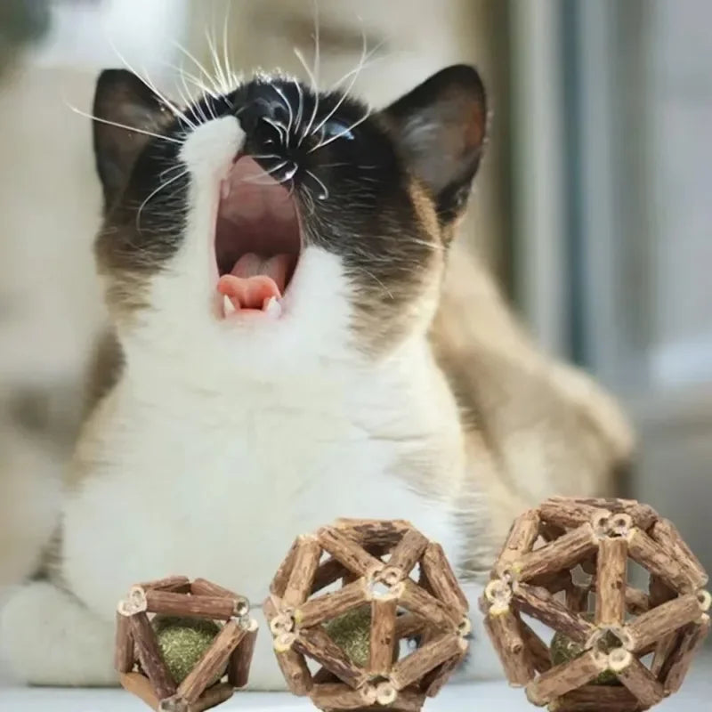 Juguete de bola de hierba gatera, juguete masticable para gatitos, dientes limpios para gatos, palo Matatabi saludable, juguete interactivo para gatos