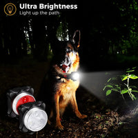 Lámpara LED para perro, collar con luz LED, colgante, luz nocturna de seguridad, linterna LED para perro, arnés y correa.