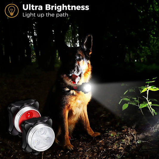 Lámpara LED para perro, collar con luz LED, colgante, luz nocturna de seguridad, linterna LED para perro, arnés y correa.
