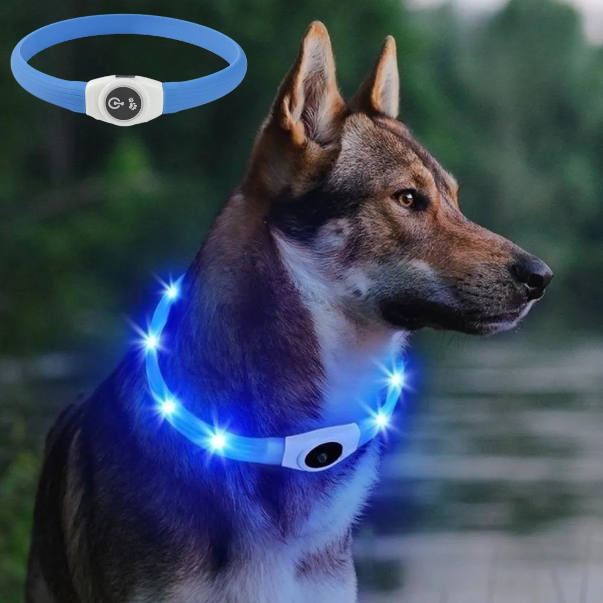 Collar luminoso LED para perro de PVC, impermeable, para perros grandes, medianos y pequeños, con luz USB, accesorios de seguridad nocturna para mascotas.