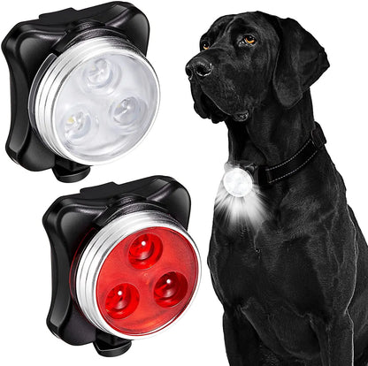 Lámpara LED para perro, collar con luz LED, colgante, luz nocturna de seguridad, linterna LED para perro, arnés y correa.
