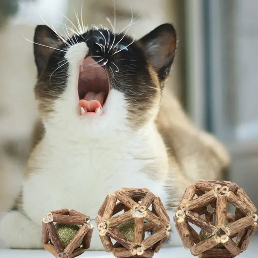 Juguete de bola de hierba gatera, juguete masticable para gatitos, dientes limpios para gatos, palo Matatabi saludable, juguete interactivo para gatos