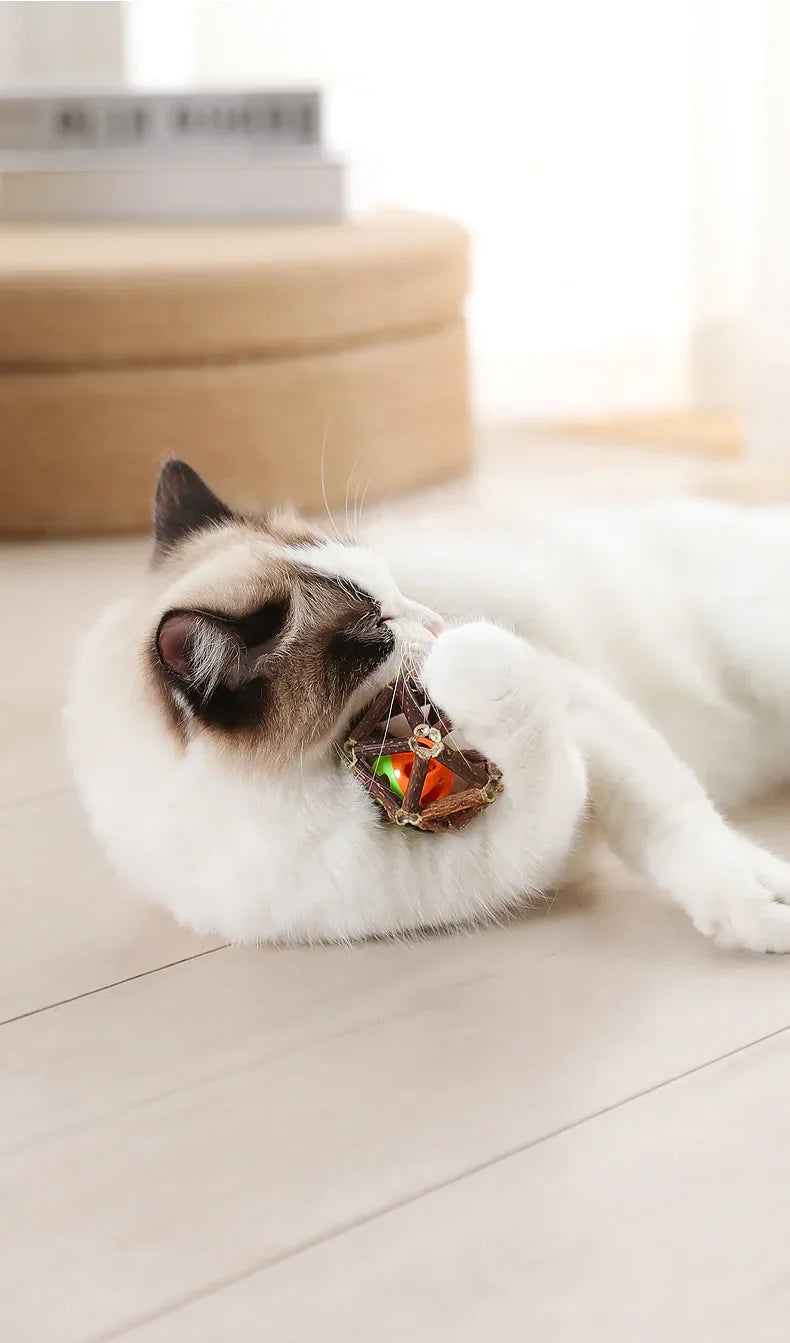 Juguete de bola de hierba gatera, juguete masticable para gatitos, dientes limpios para gatos, palo Matatabi saludable, juguete interactivo para gatos