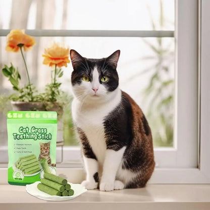 Palitos de hierba para gatos para rechinar los dientes, snacks para mascotas, elimina bolas de pelo, suaves, listos para comer, palitos para limpiar los dientes de gatos bebés.