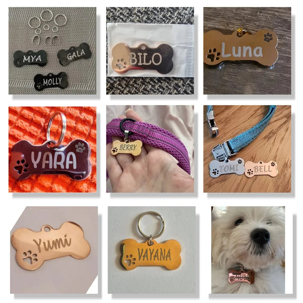 Etiqueta de identificación de mascota, llavero grabado gratis personalizado para gato, cachorro, perro, llavero colgante, pata de hueso, accesorios para mascotas