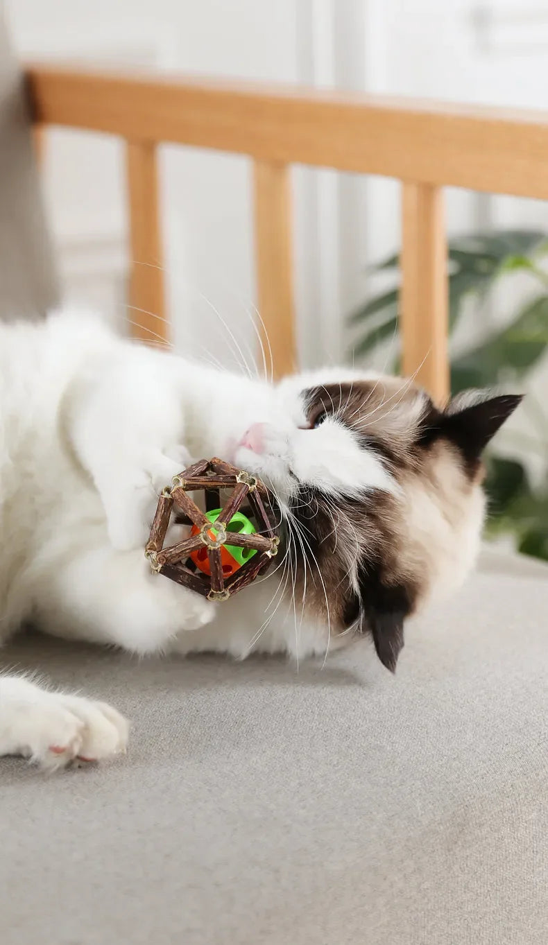 Juguete de bola de hierba gatera, juguete masticable para gatitos, dientes limpios para gatos, palo Matatabi saludable, juguete interactivo para gatos