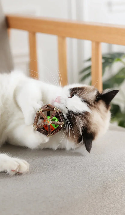 Juguete de bola de hierba gatera, juguete masticable para gatitos, dientes limpios para gatos, palo Matatabi saludable, juguete interactivo para gatos