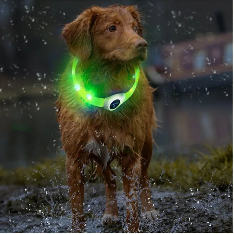 Collar luminoso LED para perro de PVC, impermeable, para perros grandes, medianos y pequeños, con luz USB, accesorios de seguridad nocturna para mascotas.
