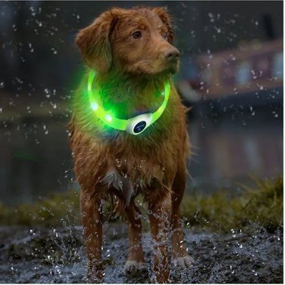 Collar luminoso LED para perro de PVC, impermeable, para perros grandes, medianos y pequeños, con luz USB, accesorios de seguridad nocturna para mascotas.