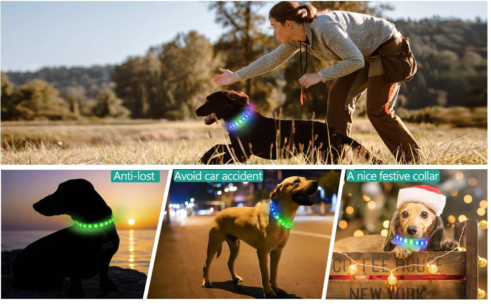 Collar luminoso LED para perro de PVC, impermeable, para perros grandes, medianos y pequeños, con luz USB, accesorios de seguridad nocturna para mascotas.
