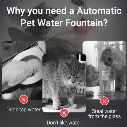 Fuente de agua inteligente ROJECO para gatos, dispensador automático de agua para mascotas, purificador de agua para perros y gatos con filtros de recirculación.