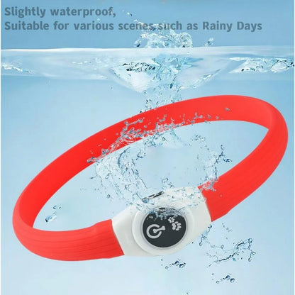 Collar luminoso LED para perro de PVC, impermeable, para perros grandes, medianos y pequeños, con luz USB, accesorios de seguridad nocturna para mascotas.