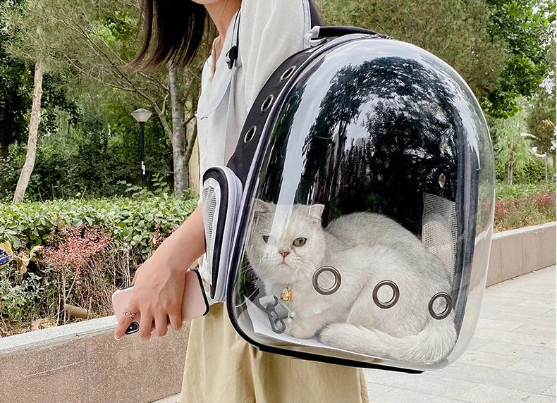Bolsa de transporte para Gato, mochilas espaciales transparente portátil y transpirable, también para perros pequeños y cachorros
