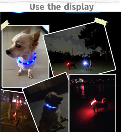 Collar luminoso LED para perro de PVC, impermeable, para perros grandes, medianos y pequeños, con luz USB, accesorios de seguridad nocturna para mascotas.