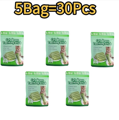 Palitos de hierba para gatos para rechinar los dientes, snacks para mascotas, elimina bolas de pelo, suaves, listos para comer, palitos para limpiar los dientes de gatos bebés.