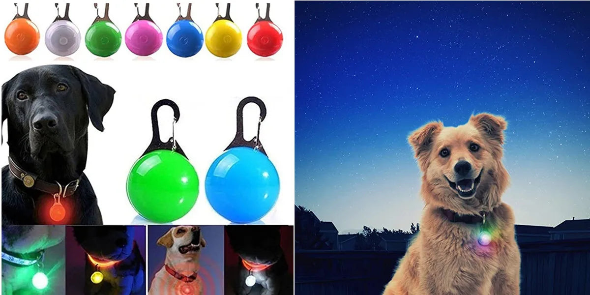 Collar luminoso LED para perro de PVC, impermeable, para perros grandes, medianos y pequeños, con luz USB, accesorios de seguridad nocturna para mascotas.