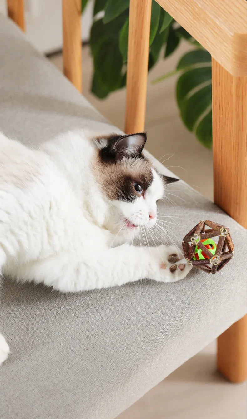 Juguete de bola de hierba gatera, juguete masticable para gatitos, dientes limpios para gatos, palo Matatabi saludable, juguete interactivo para gatos