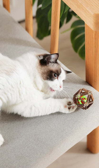 Juguete de bola de hierba gatera, juguete masticable para gatitos, dientes limpios para gatos, palo Matatabi saludable, juguete interactivo para gatos