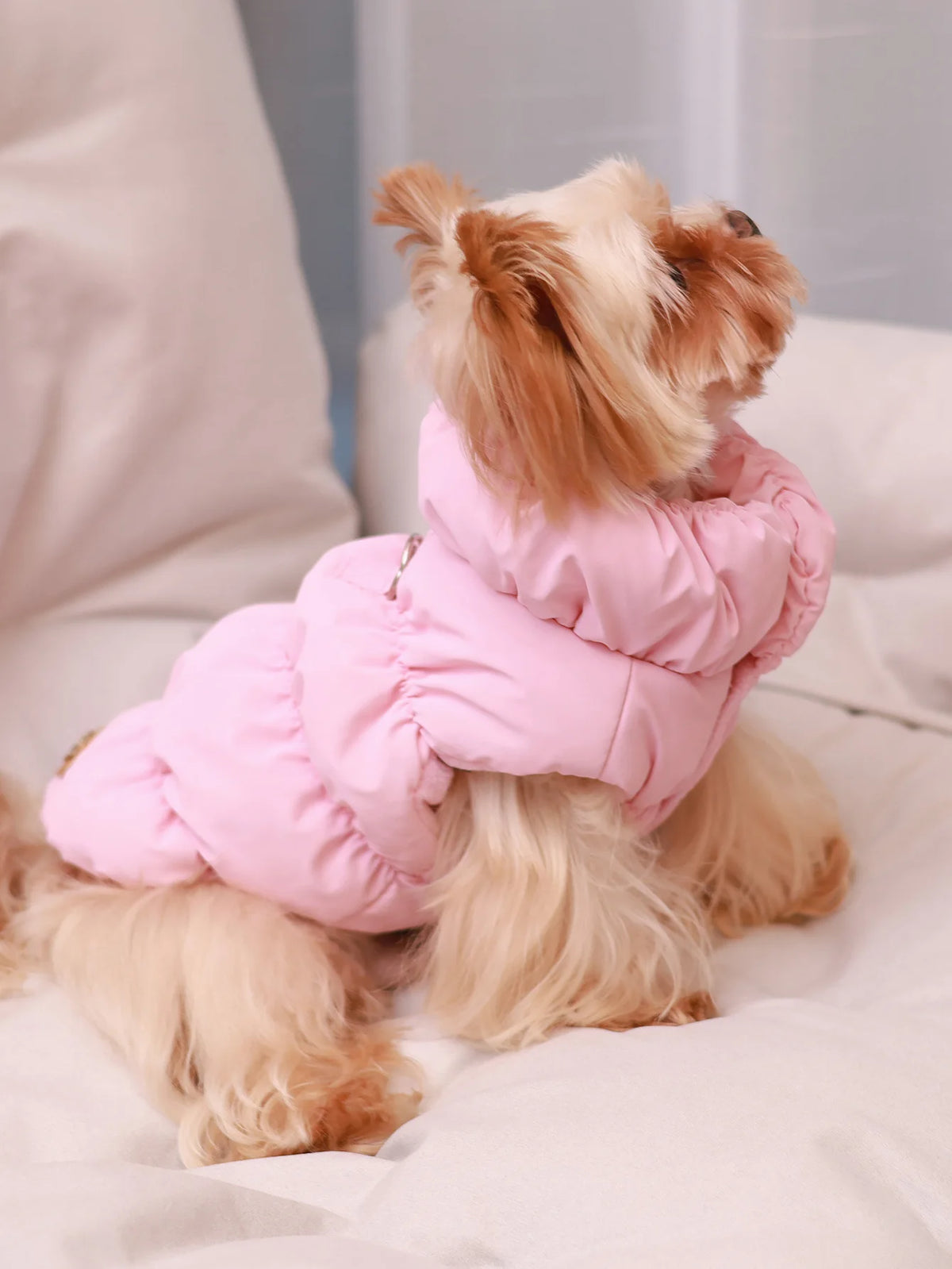 Chaqueta abrigo para perros otoño/invierno, gruesa y cálida de 3 capas, adecuada para perros pequeños a medianos como caniche, Teddy, York