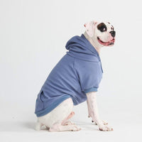 Spark Paws Essential Dog Hoodies - Premium Quality, Buttery Soft, Superior Comfort and Fit, Calming Fleece Interior, Suitable for All Breeds