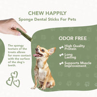 Rethink Pet Premium Dental Sponge Stick, Perfect Fun Dental Care Treats