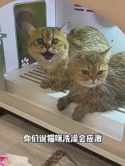 Cepillo de vapor para gatos y perros, cepillo de vapor, pulverizador eléctrico para masaje, herramienta de aseo para mascotas, 3 en 1, pulverizadores eléctricos, peines de masaje