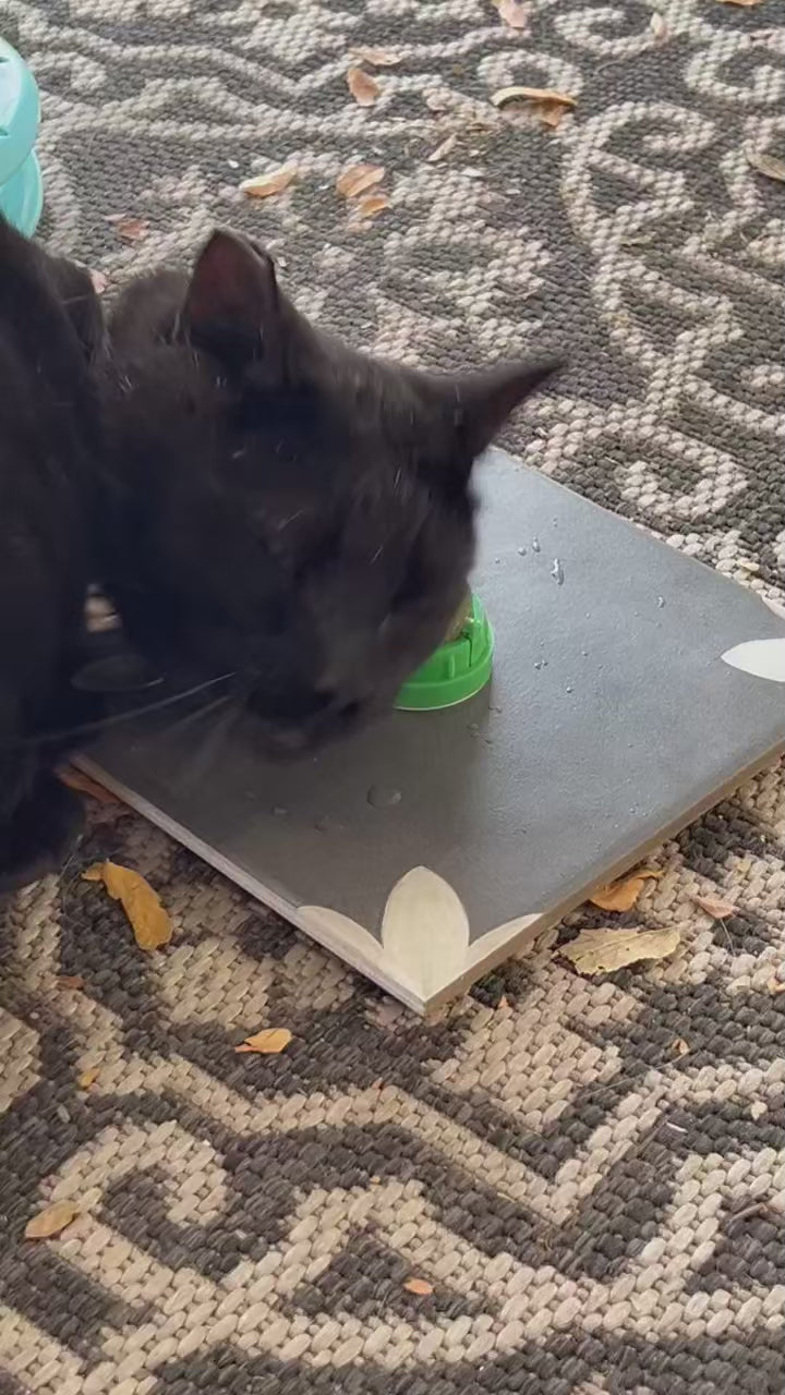 1-3PCS Bolas de hierba gatera para gatos Juguetes de hierba gatera de pared para lamer gatos Juguetes para masticar gatitos Limpieza de dientes Eliminación de bolas de pelo dental Juguetes comestibles para gatos